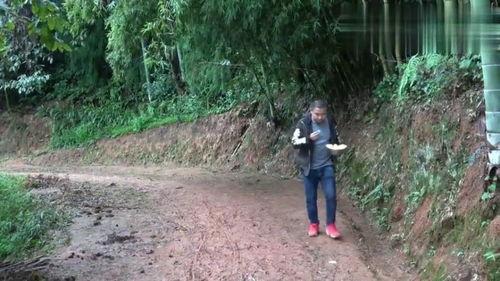 农村王四在线视频,短视频中的田园生活魅力