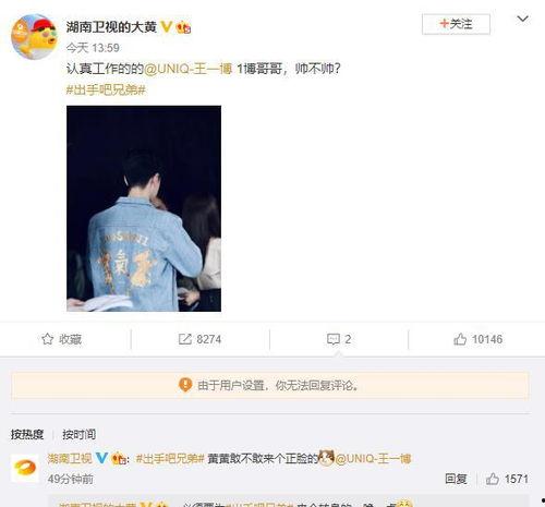 最新大黄在线视频,揭秘最新热门视频背后的故事与魅力